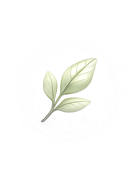 Originální K-beauty